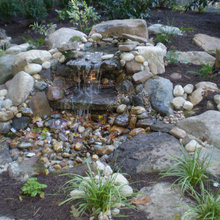 Pond