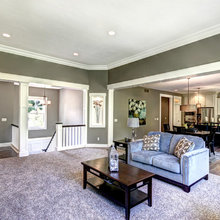 Living Room Ideas