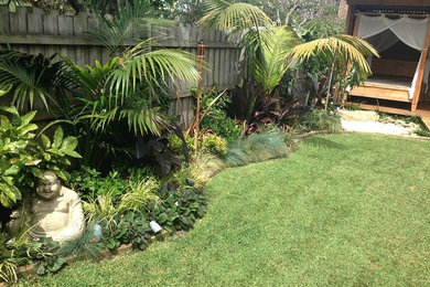 Design ideas for a tropical garden in Sydney.