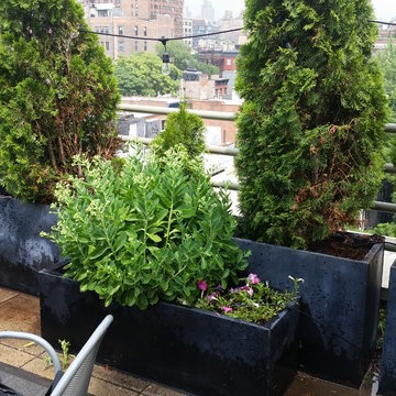 Greenwich Village Rooftop Garden