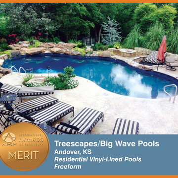 2014 APSP International Awards of Excellence