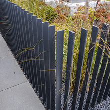 Landscape Ideas