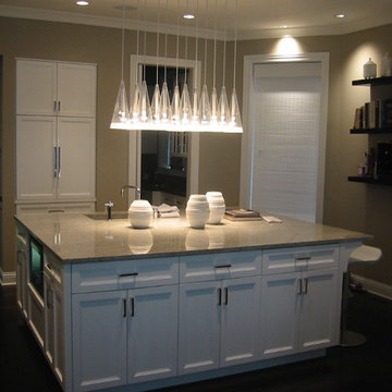 Wrigleyville kitchen