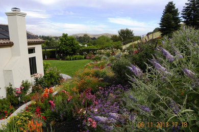 This is an example of a mediterranean landscaping in San Francisco.