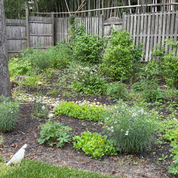 After Photo with Plants Filling In
