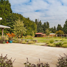 Chicken Garden