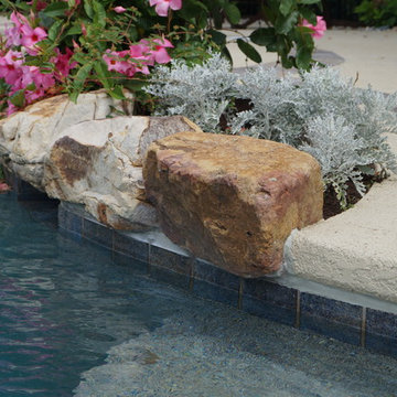 Backyard Overhaul