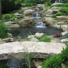 Water Features