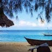 Leticia Brito's photo
