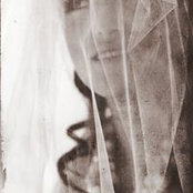 Emilie Russakovskii's photo