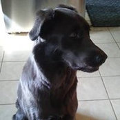 Wendy Murthy's photo