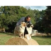 Jean-Philippe Rochefort's photo