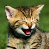 Heather McLain's photo