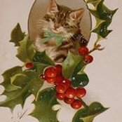 Lisa Shaffer Krahel's photo