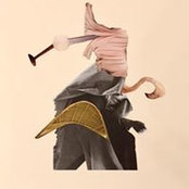 Misa Poltronieris foto