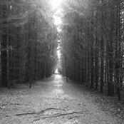 Christine Cowen's photo