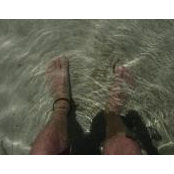 Brian Senecal's photo
