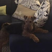 Connie Adams's photo