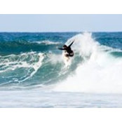 Sean Kennedy's photo