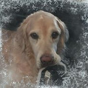 Krysia Sapala's photo