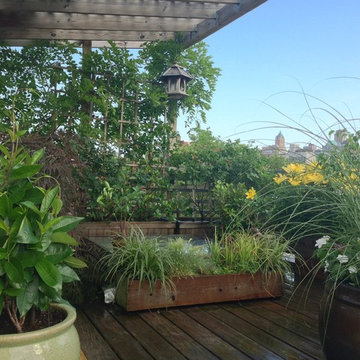 Boerum Hill - Rooftop Garden