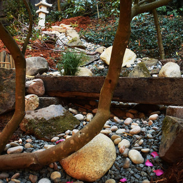 Asian Garden