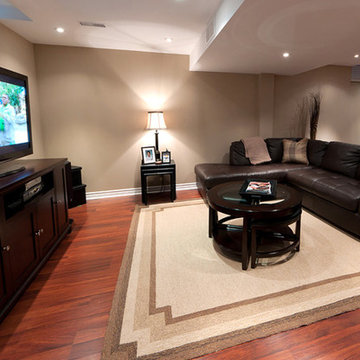 Basement Home Theatre