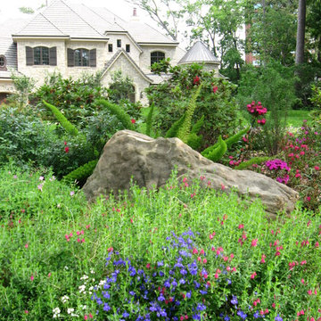 New Construction Landscape May 2009