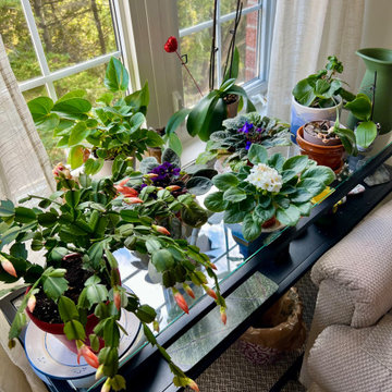 Senior's Assisted Living Residence
