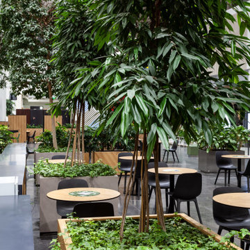 Food Court Interior — MEGA Parnas Shopping Center, Saint Petersburg