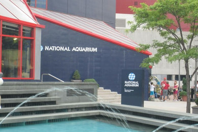Baltimore National Aquarium Painting