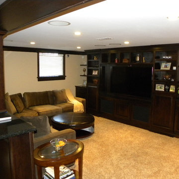 Basement Remodel - Inverness