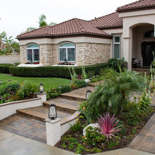 Landscape Ideas