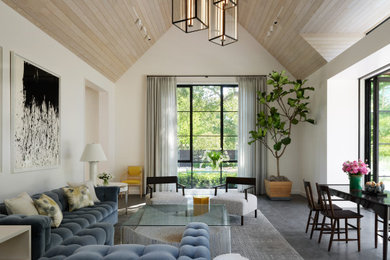 Living room - contemporary living room idea in San Francisco