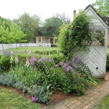Garden Fence & Gate