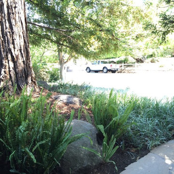 Redwood Garden & Lawn Replacement