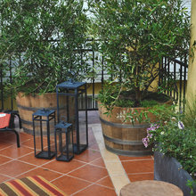 Backyard Ideas