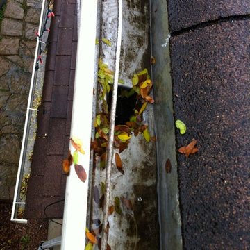 Eavestroughs and Leaf Guards