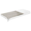 iDesign Austin Compact Dish Drainer for Kitchen Sink, Matte Satin and White