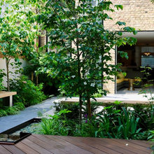 Sando Back Yard