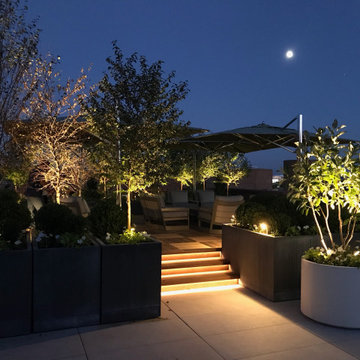 Rooftop Deck Lighting
