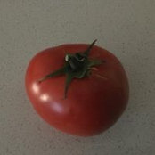 Martha Wunderli's photo