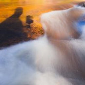 Nicholas Baldinelli's photo