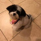 Greg Graham's photo