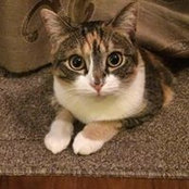 Carla Nannizzi's photo