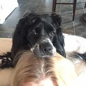 Kathy Gralike's photo