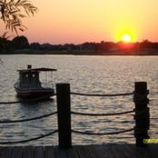 Denise Cabral's photo