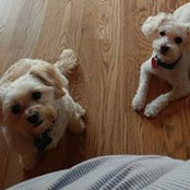 Suzanne Jager's photo