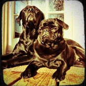 Jeff Gettle's photo