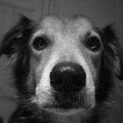 Kristofer Abbott's photo